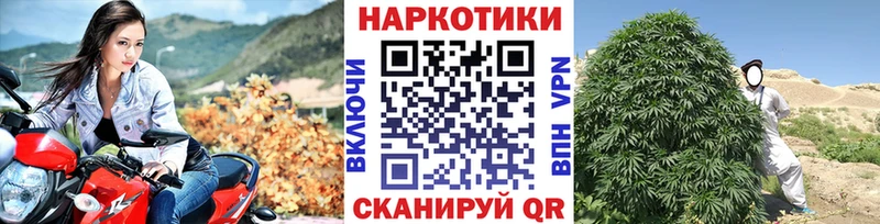 Конопля Нелидово