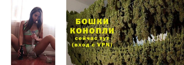 прущие крисы Медвежьегорск