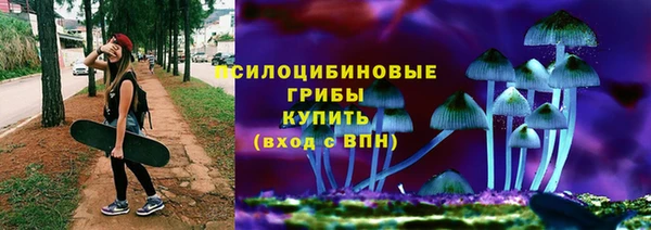 ГАЛЛЮЦИНОГЕННЫЕ ГРИБЫ Мегион