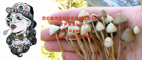 соль ск Михайловск